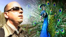 A nature photographer explains why evolution is not a valid theory